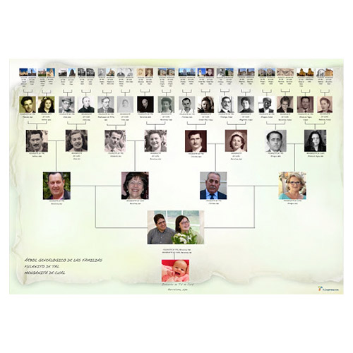 arbol-genealogico-slide-4